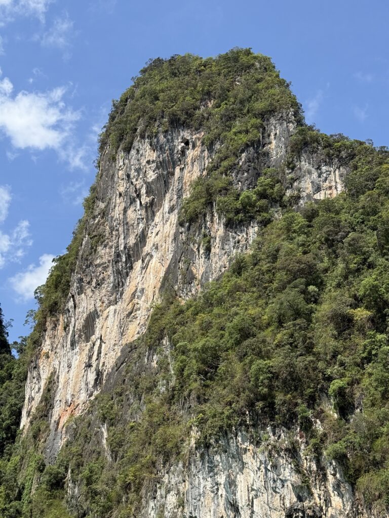 Karst khao sok national park - Cheow Lan Lake